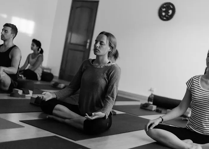 Surf Yoga Bed & Breakfast